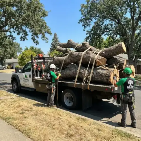 Tree service truck loaded with branches after a Port Orange job